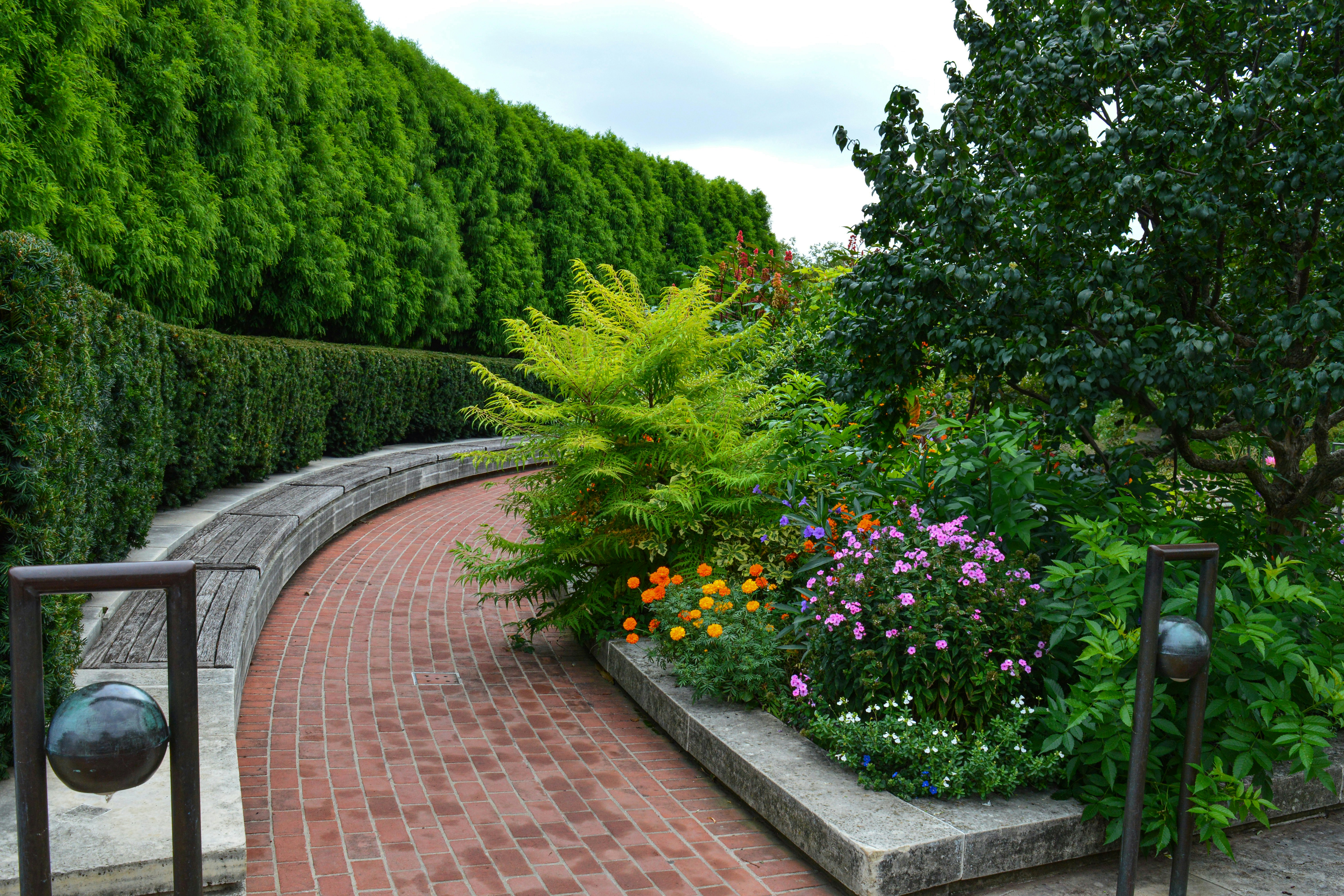 ORBE Landscape mulching project